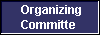  Organizing
Committe 